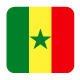 eSIM Senegal Flag
